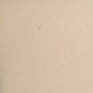 Meet your Posher, Aviva